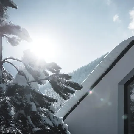 Myalps Tirol Inklusive Sky- Wellness * אוץ