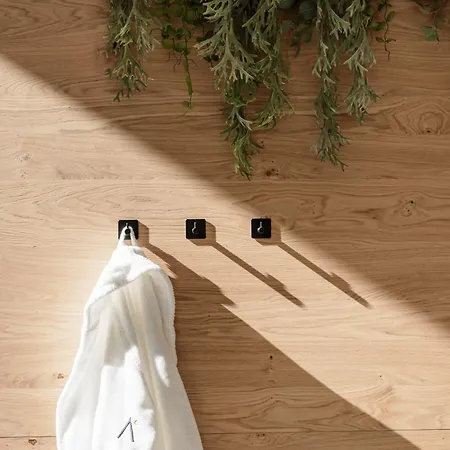 Myalps Tirol Inklusive Sky- Wellness